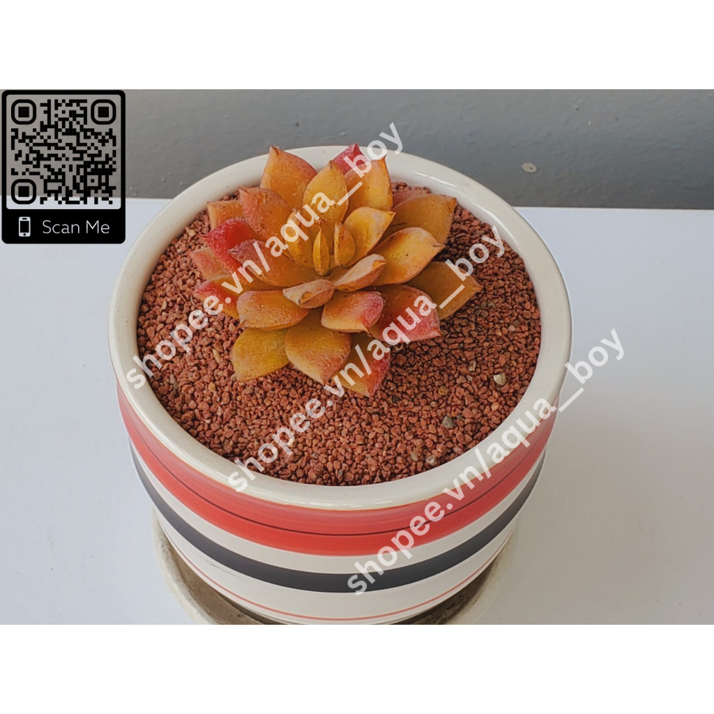Cát đỏ garnet hạt to gạch phủ nền, trang trí hồ thủy sinh 2kg 1kg 0.5kg