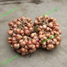 1KG CỦ HÀNH KHÔ