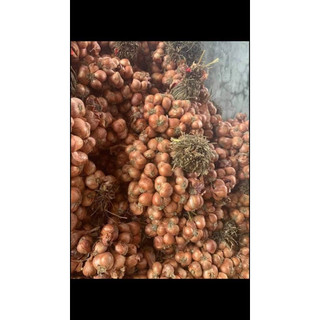 1KG CỦ HÀNH KHÔ