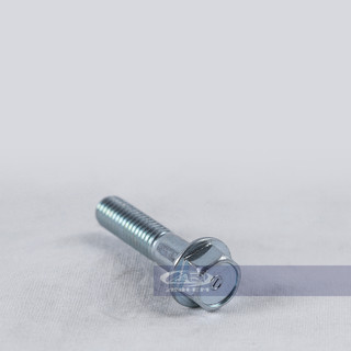 Ốc chảng ba (RGV - Apido) - RGV120-0576