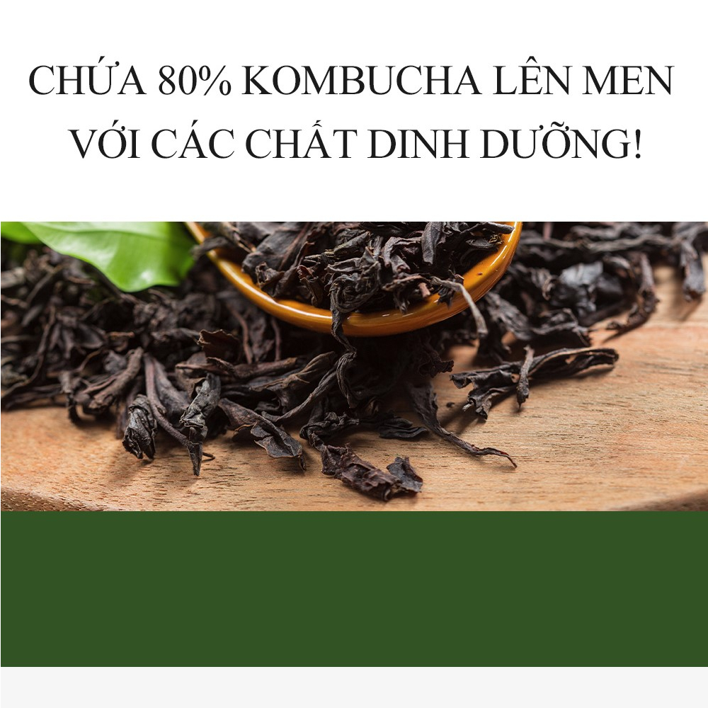 Nước cân bằng cung cấp dưỡng chất Derma Factory Kombucha 80% Treatment 150ml