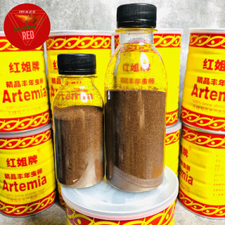Artemia vàng TQ tỉ lệ nở cao