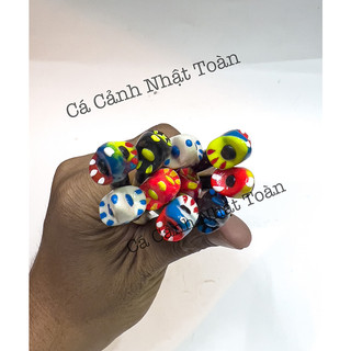 CÂY KÈ CÁ BETTA DÀI 20CM (MÀU NGẪU NHIÊN)