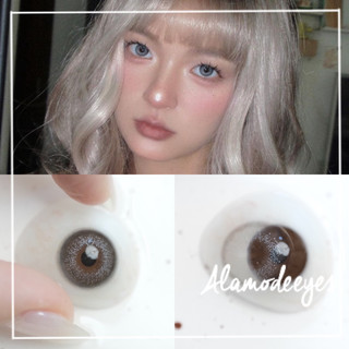 Lens xám tia bạc