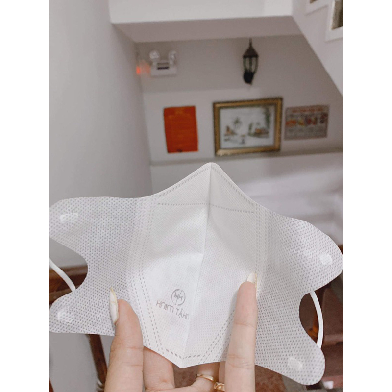 Khẩu trang 5d người lớn
