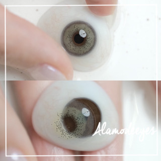 lens xám ngọc áp tròng