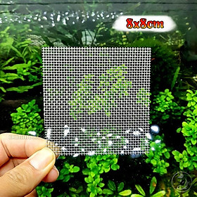 Vỉ inox buộc rêu