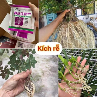 Siêu kích rễ hàng nội địa Trung Quốc Polypeptide Rooting Powder gói 30gr kích rễ Trung Quốc