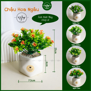 Hoa giả, Chậu hoa để bàn trang trí