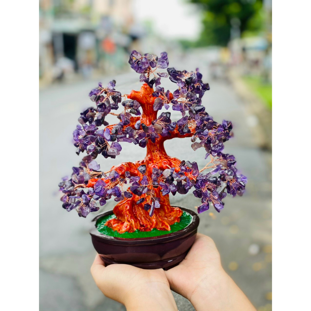 Cây đá tài lộc phong thủy để bàn siêu đẹp - tán dày cao 30cm hàng đẹp kiểm định