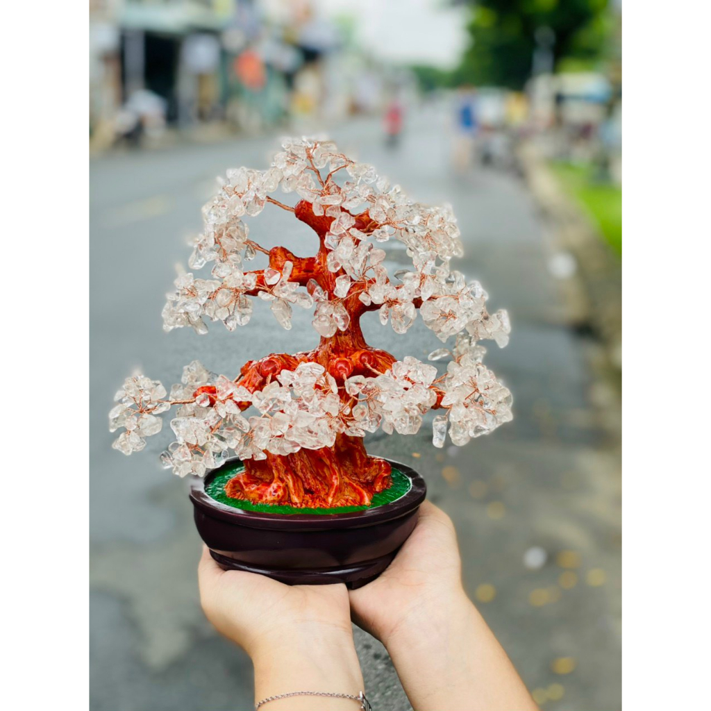 Cây đá tài lộc phong thủy để bàn siêu đẹp - tán dày cao 30cm hàng đẹp kiểm định