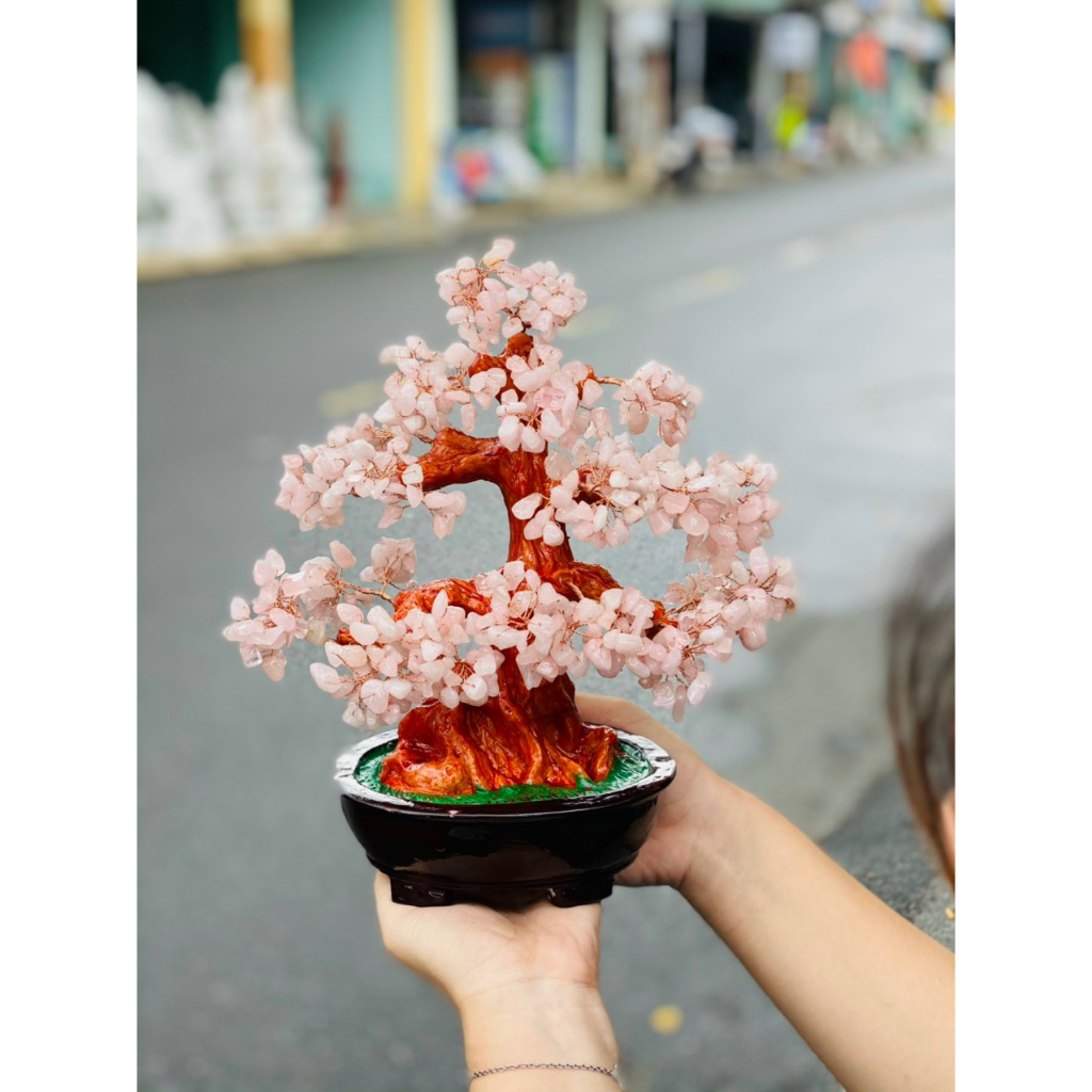 Cây đá tài lộc phong thủy để bàn siêu đẹp - tán dày cao 30cm hàng đẹp kiểm định