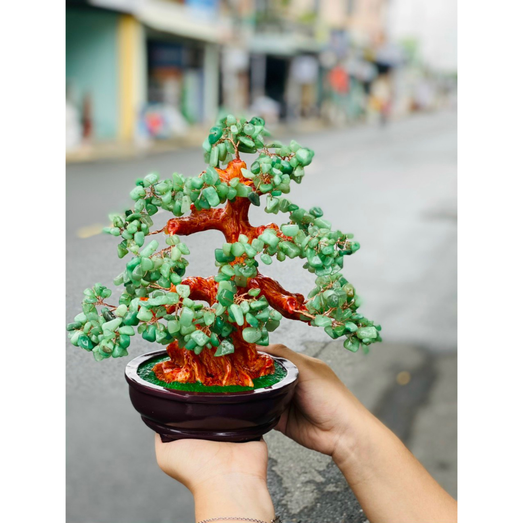 Cây đá tài lộc phong thủy để bàn siêu đẹp - tán dày cao 30cm hàng đẹp kiểm định