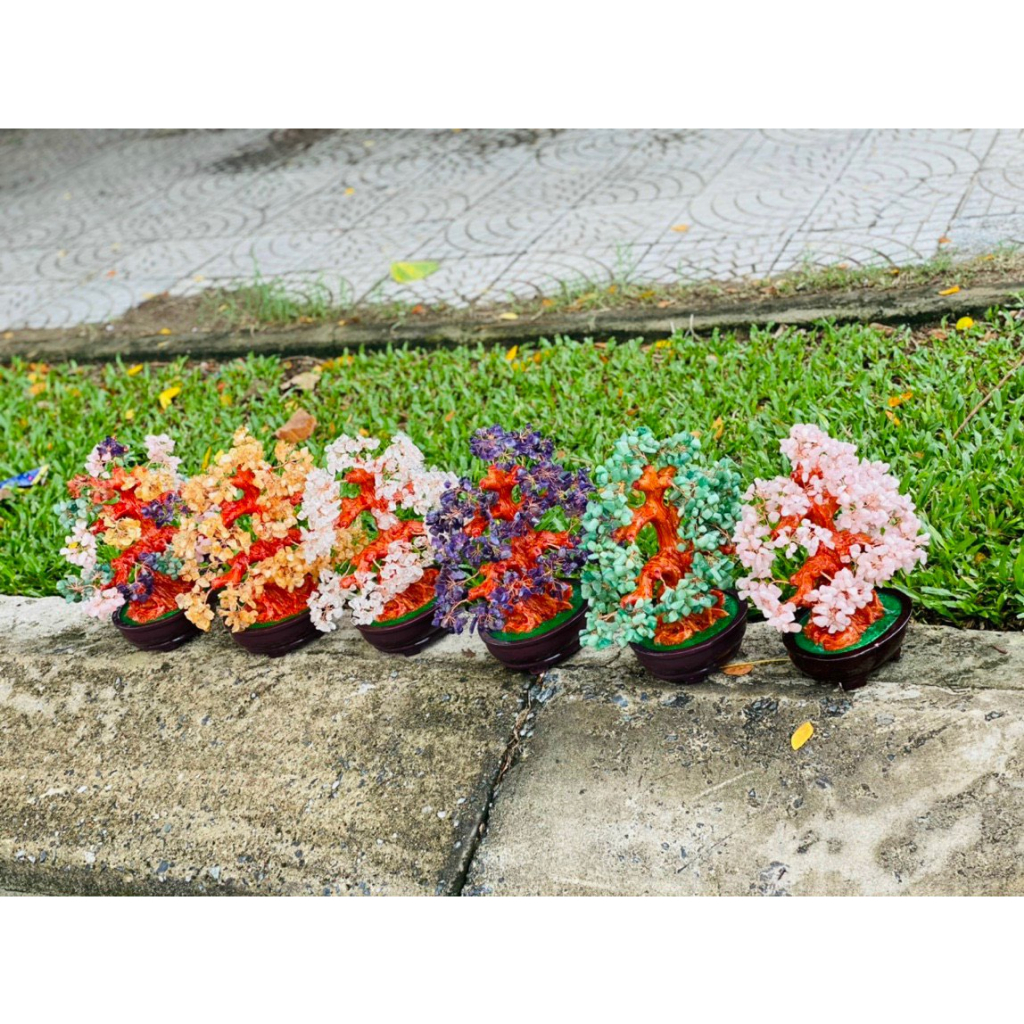 Cây đá tài lộc phong thủy để bàn siêu đẹp - tán dày cao 30cm hàng đẹp kiểm định