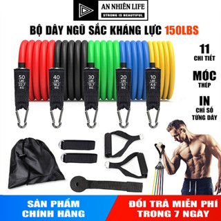 Bộ Dây Kháng Lực Ngũ Sắc 11 Món - Bản Chuẩn Tập Gym Tại Nhà - Móc Khóa To Chắc Chắn - Giá Tại Kho