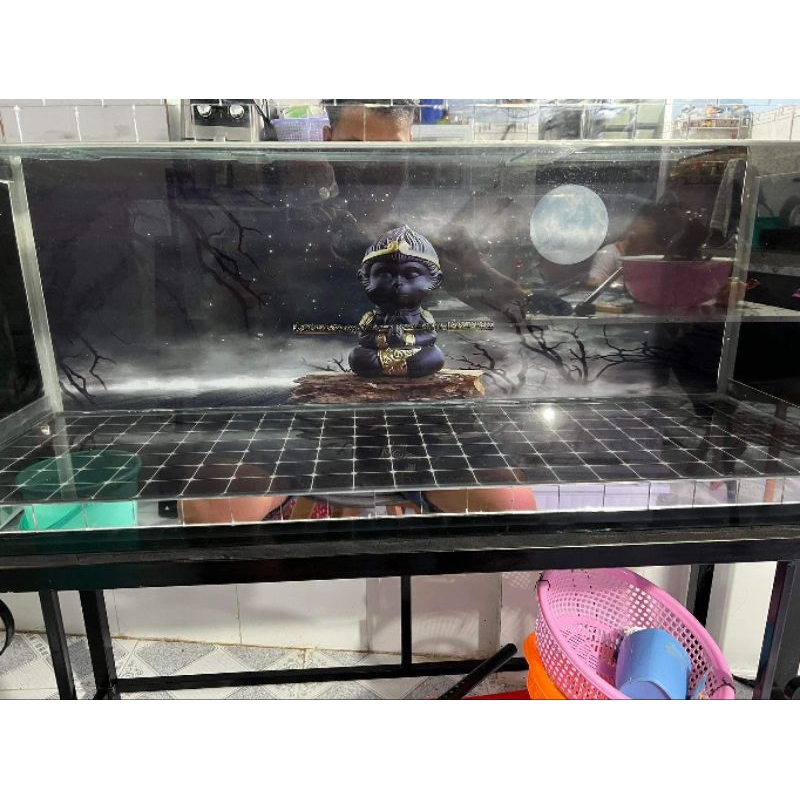 tranh 3d tranh dán bể cá vàng bể cá rồng (tranh lưng). đáy ở mục riêng