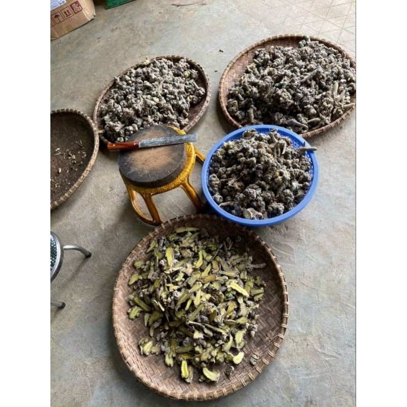 Tam thất thái lát khô loại 1