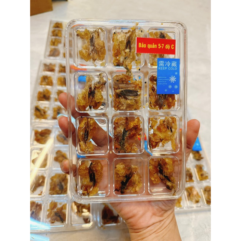 Tuyết Giáp khô nguyên con - không pha