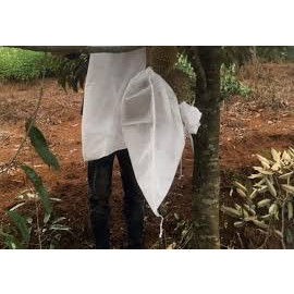100 túi mít lớn 50x70