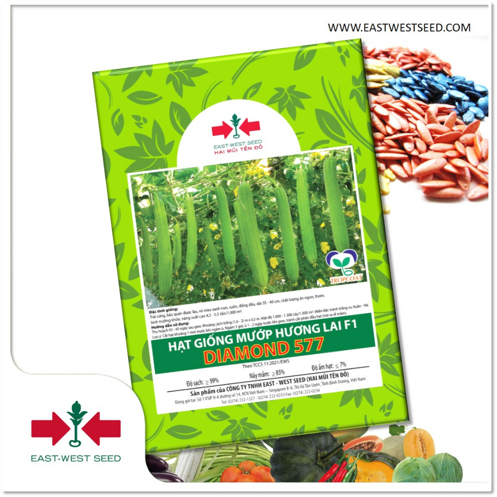 GÓI 10g (KHOẢNG 95 HẠT) HẠT GIỐNG MƯỚP HƯƠNG LAI DIAMOND 577 CỦA EAST-WEST SEED (HAI MŨI TÊN ĐỎ)