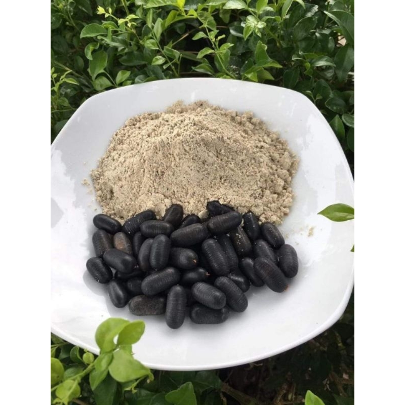 Hạt đỗ Rừng. Hạt chèn chét đ.ặc tr.ị dạ dày