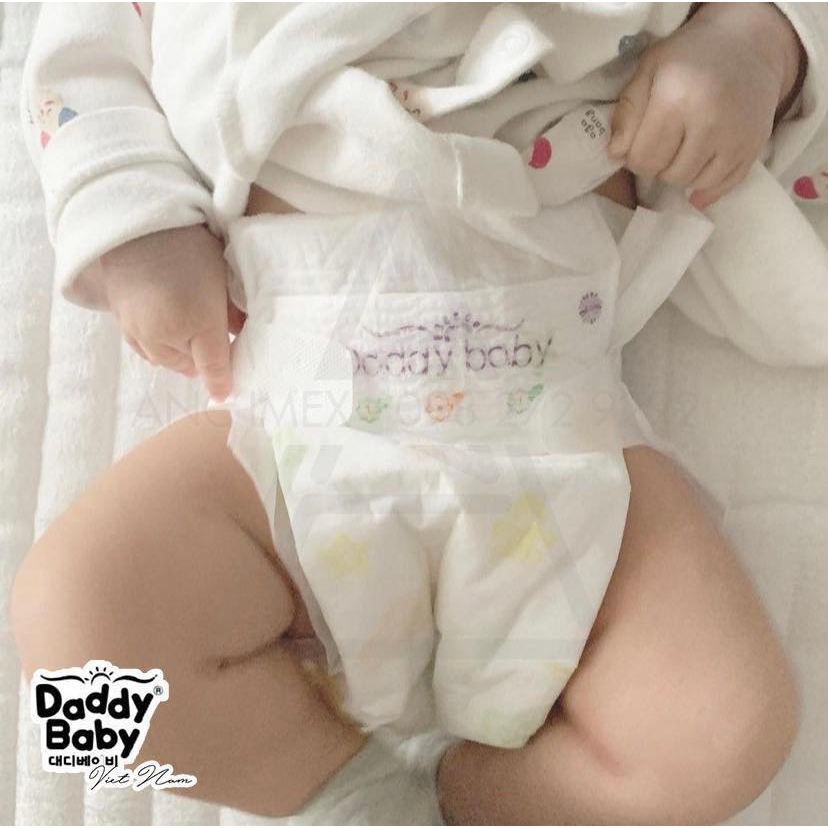 Bỉm Daddy Baby chính hãng Hàn Quốc DATE 2024