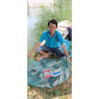 Combo mồi câu cá rô phi