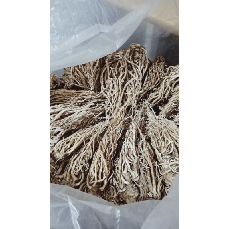SÂM ĐƯƠNG QUY PHƠI KHÔ (1KG)