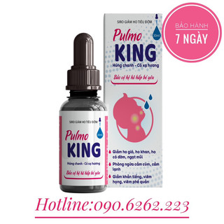 Siro giảm ho tiêu đờm Pulmoking