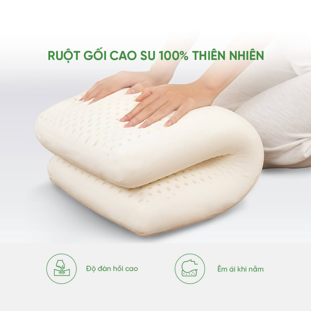 Gối Cao su Gummi Standard 37x58x9cm