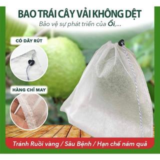 Túi bọc trái cây 22x30cm bằng vải không dệt Ánh Dương xoài, chùm mận, chùm khế, na lớn