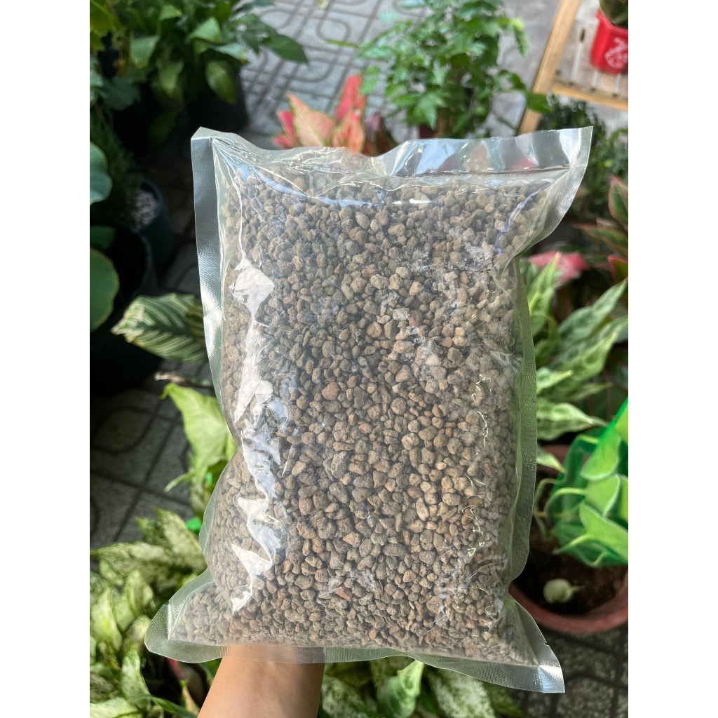 Đá Pumice size 3-6mm, Đá bọt chuyên xương rồng, sen đá, phủ mặt chậu, giúp thoáng khí rễ khỏe