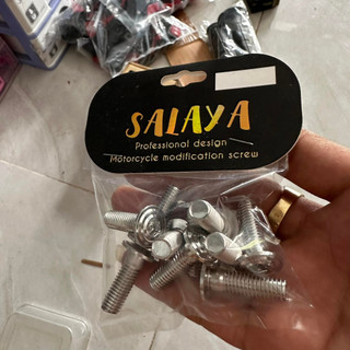 Combo 10 con ốc đĩa salaya đầu âm thái inox 304 giá 10 con