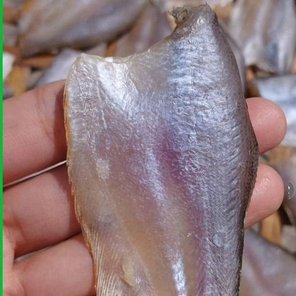 KHÔ SẶC ĐỒNG TÚI 500G (SHIP HOẢ TỐC TRONG TP HỒ CHÍ MINH)
