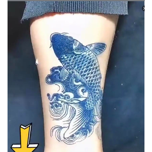 Hình xăm cá chép 15 ngày mẫu hot