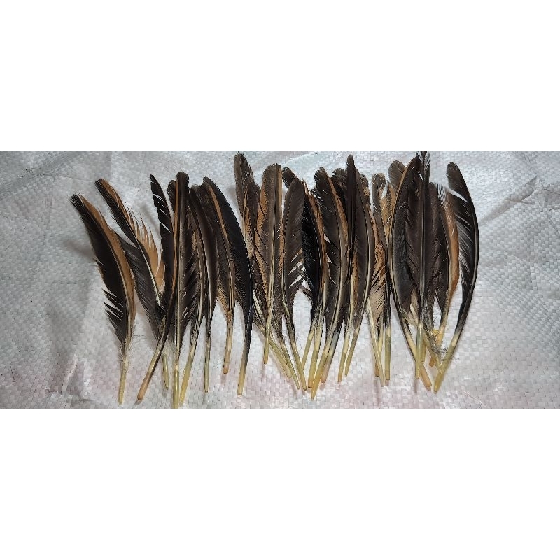 Lông gà thông điếu chuyên dụng 30k/1 hộp