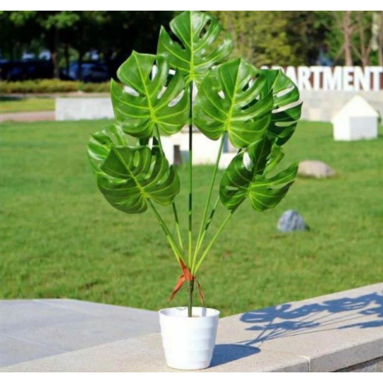 cây giả - cây lá rùa cao 70cm