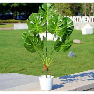 Cây giả - cây lá rùa cao 70cm