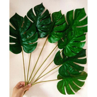 cây giả - cây lá rùa cao 70cm