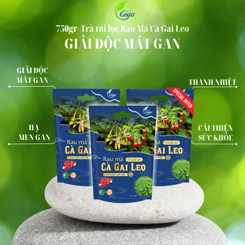 Combo 3 túi trà Rau má cà gai leo giúp hạ men gan Gigaherbs - Gói 750gr (3 Túi x 250gr)