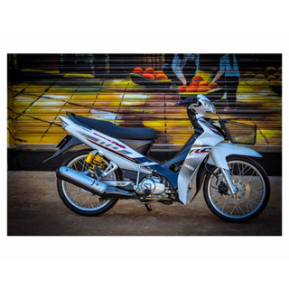 TEM ZIN SIRIUS RC TRẮNG ĐEN