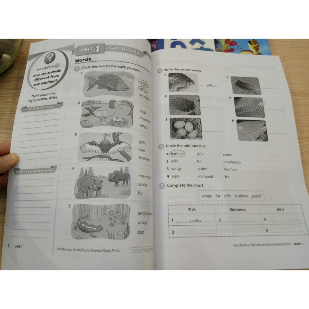 Oxford Discover lẻ