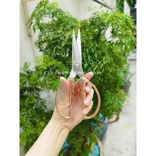 KÉO CẮT THỰC PHẨM NHẬT HÀNG BÃI NHẬT