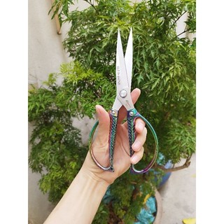 KÉO CẮT THỰC PHẨM NHẬT HÀNG BÃI NHẬT