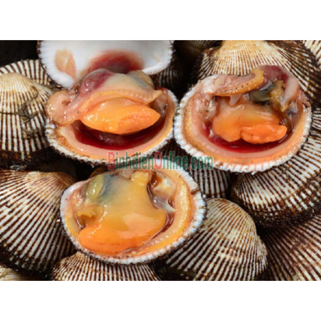 Sò lông nửa mảnh 1kg