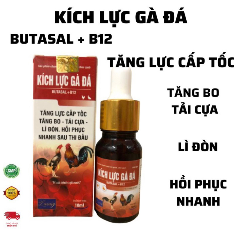 KÍCH LỰC GÀ ĐÁ