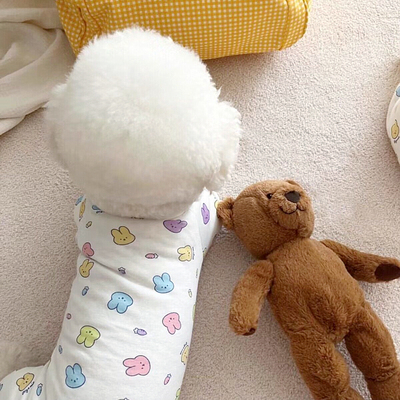 Áo liền thân họa tiết thỏ nhiều màu dành cho thú cưng