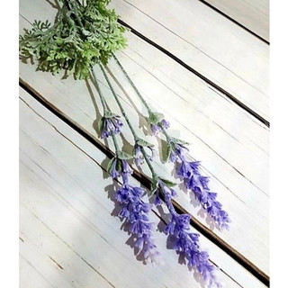hoa giả - lavender ( oải hương) ( để Free ship CHAT ngay với người bán)