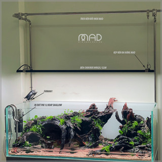 Treo đèn inox MAD