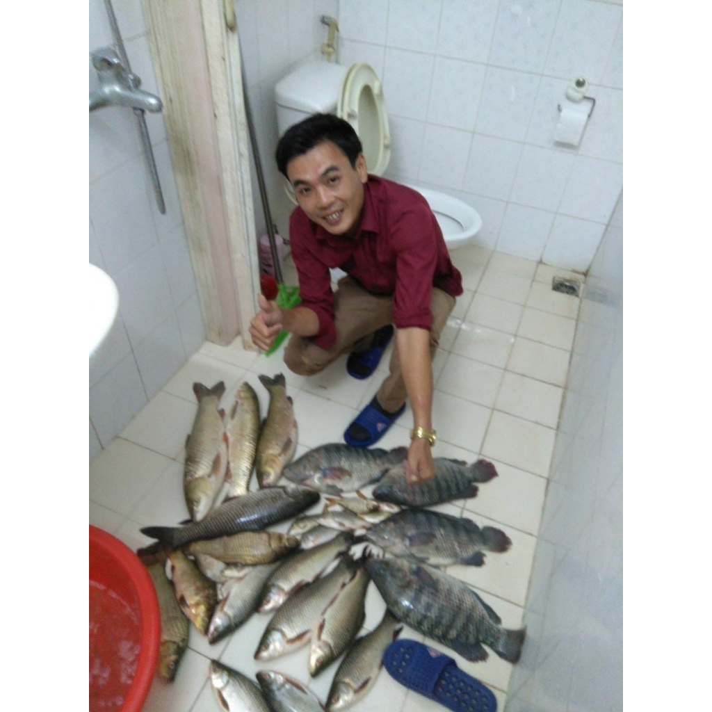 Combo 6 gói PC05 - Chuyên Cá trắm cỏ, chim, chép, rô phi, trắm đen, trôi